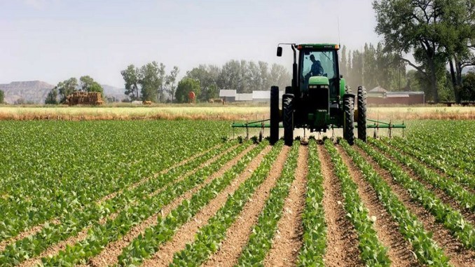 Quel projet agricole faut-il lancer ?