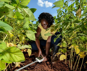 Quel projet agricole faut-il lancer ?