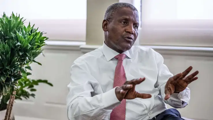 L'Origine de la Richesse d'Aliko Dangote : Un Entrepreneur Africain à Succès