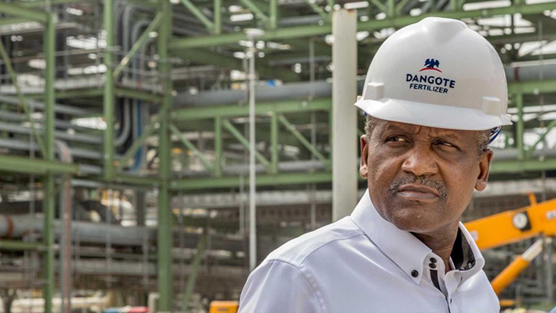 L'Origine de la Richesse d'Aliko Dangote : Un Entrepreneur Africain à Succès
